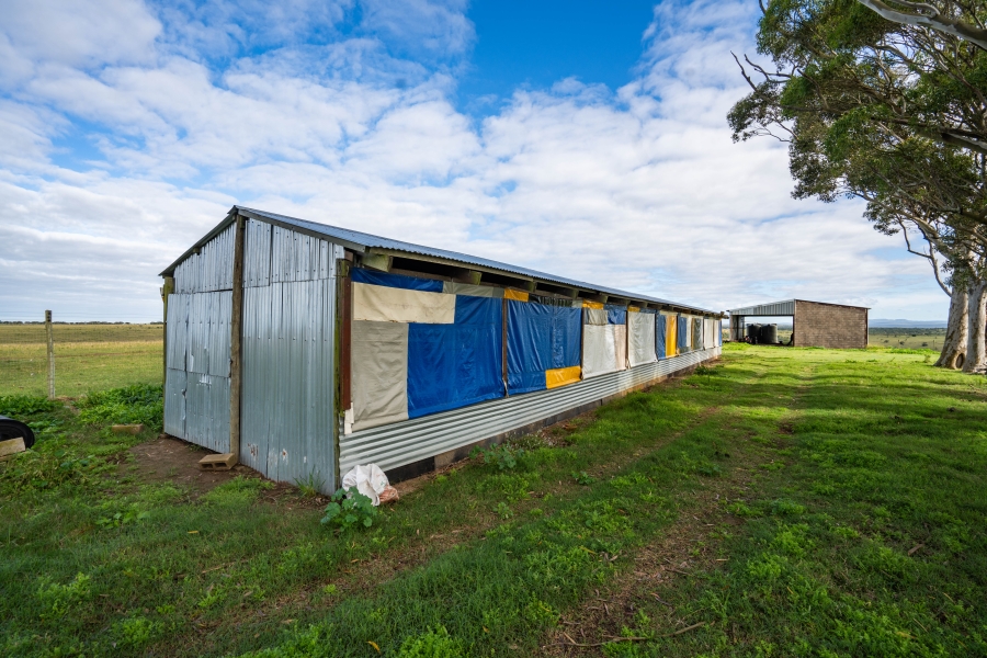 5 Bedroom Property for Sale in Grahamstown Rural Eastern Cape